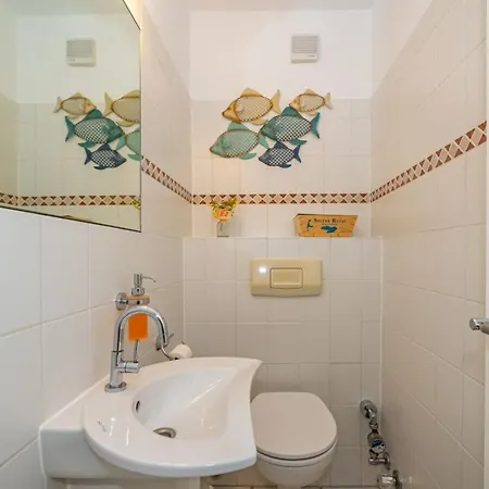 In With Swimming Pool *