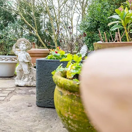 In With Swimming Pool * Archsum